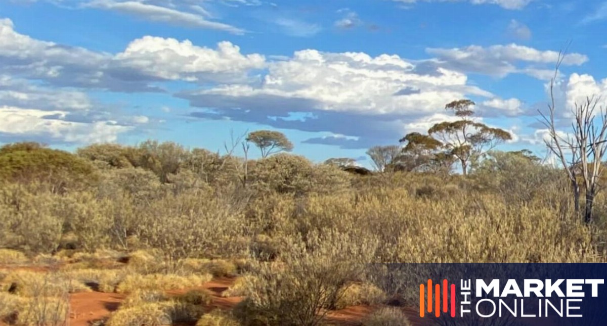 Western Mines Group lands $250,000 EIS award for Mulga Tank seismic